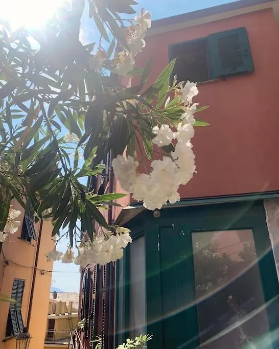 Historic Downtown Home By The Sea With King Bed Monterosso al Mare 0*,